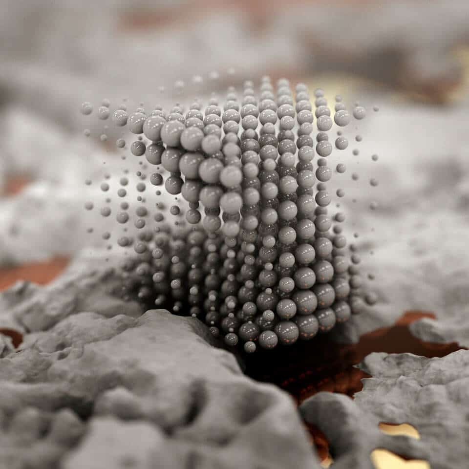 microorganism full image